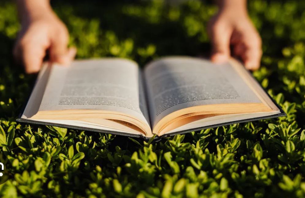  image of an open book being held by hands 
